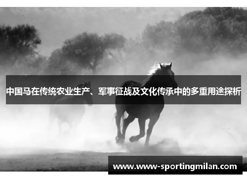 中国马在传统农业生产、军事征战及文化传承中的多重用途探析